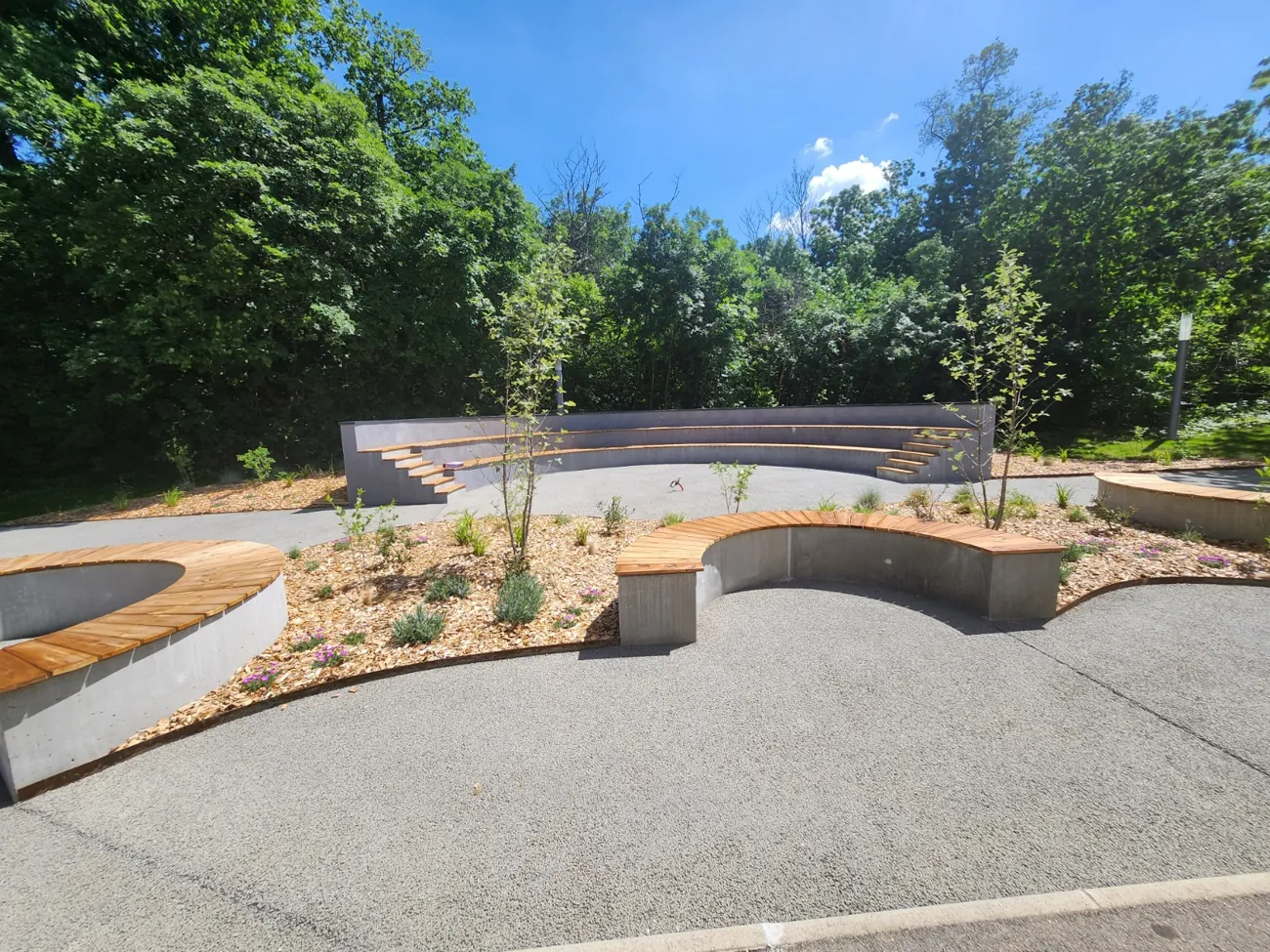 Cour végétalisée avec bancs courbes en bois, plantations et gradins en demi-cercle