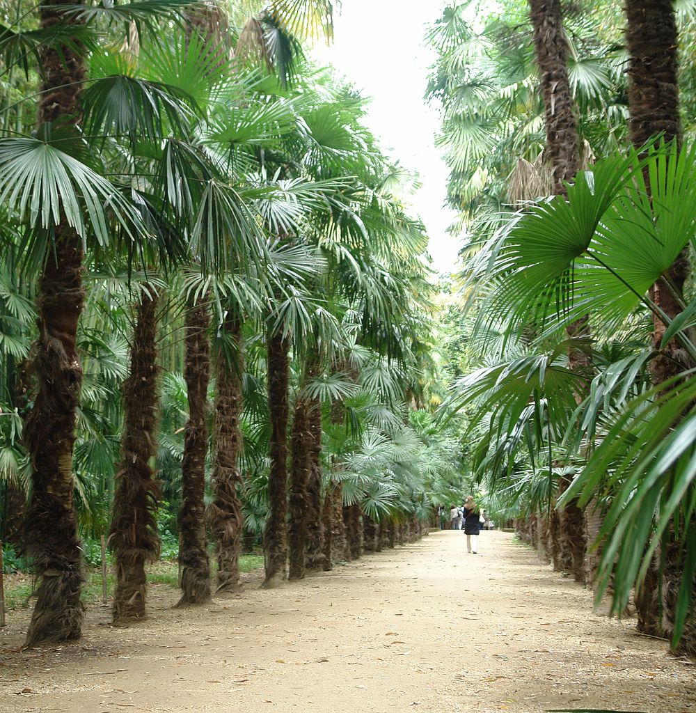 Bambouseraie d’Anduze