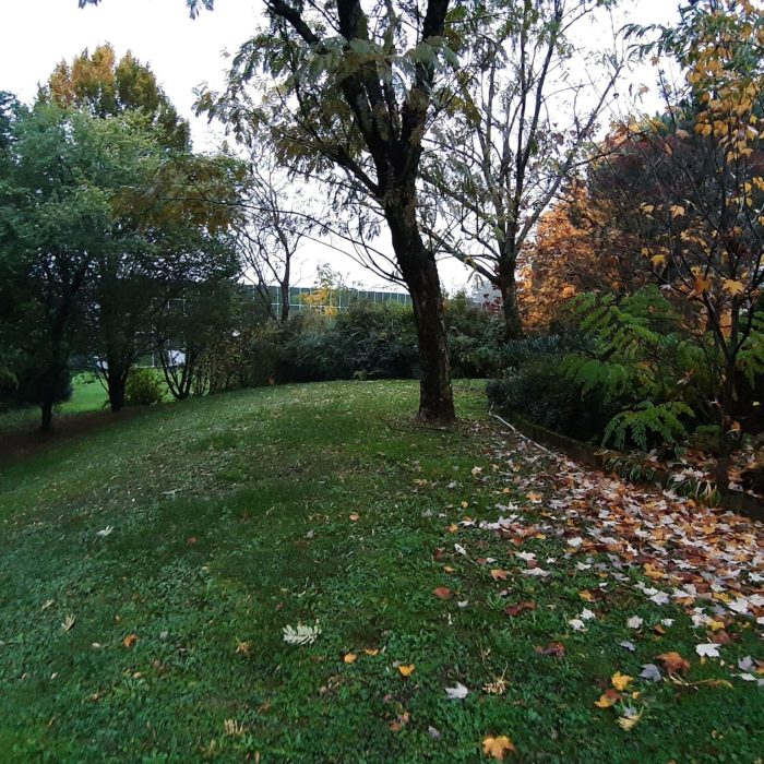 20191031_170634